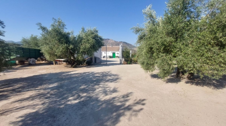 Jaén - Quesada - 57000m2