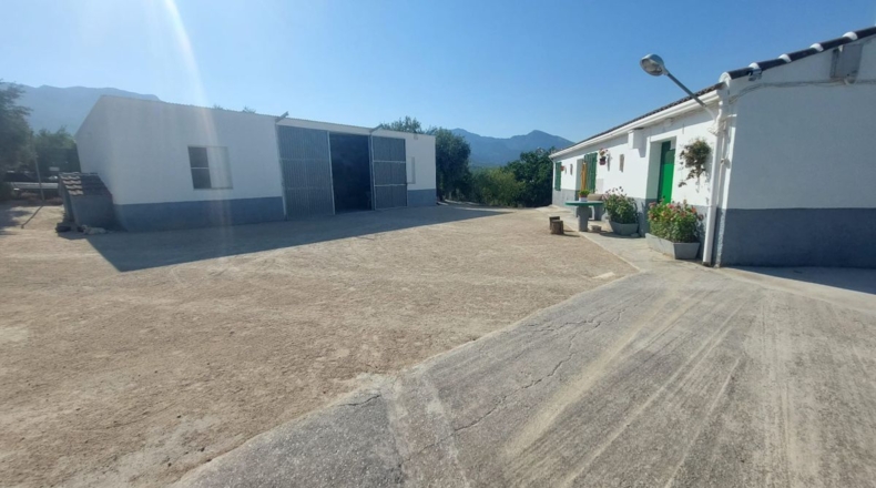 Jaén - Quesada - 57000m2
