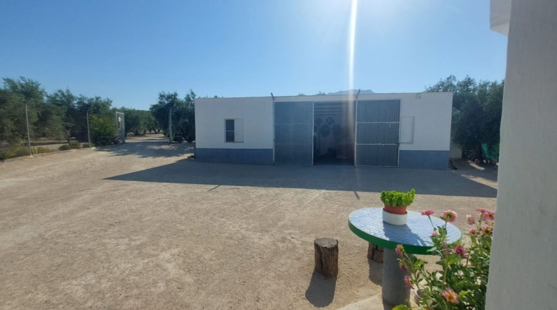 Jaén - Quesada - 57000m2