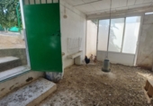 Земельный участок на продажу в городе Quesada. Фото