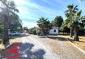 Rural estate for sale in Lebrija ref: TR409156 photo