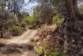 Pinos del Valle 5430&nbsp;m² 