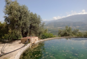Pinos del Valle 5430&nbsp;m² 