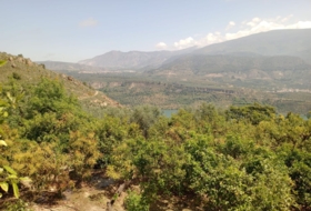 Pinos del Valle 5430&nbsp;m² 