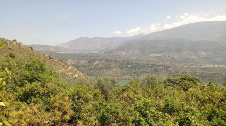 Гранада - Pinos del Valle - 5430m2
