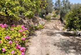 Pinos del Valle 5430&nbsp;m² 