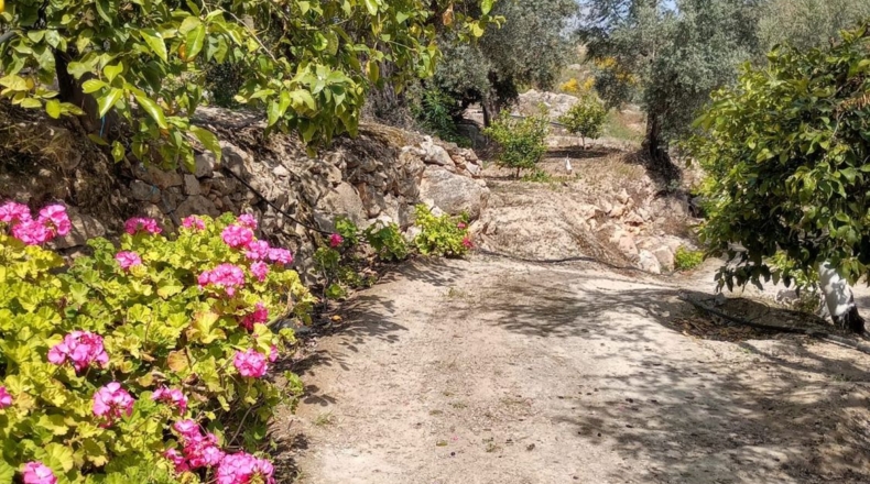 Гранада - Pinos del Valle - 5430m2