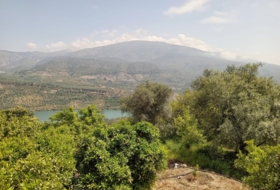 Pinos del Valle 5430&nbsp;m² 
