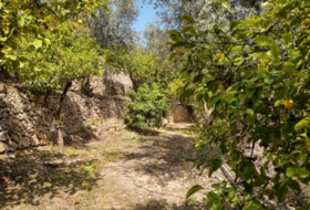 Pinos del Valle 5430&nbsp;m² 