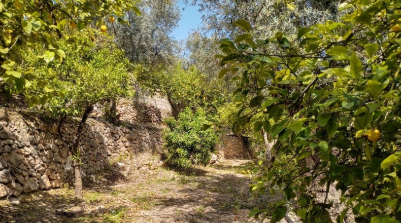 Гранада - Pinos del Valle - 5430m2
