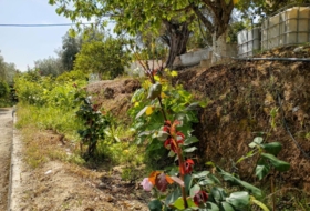 Pinos del Valle 5430&nbsp;m² 
