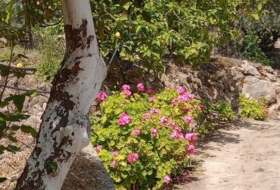 Pinos del Valle 5430&nbsp;m² 