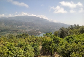 Pinos del Valle 5430&nbsp;m² 