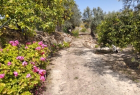 Pinos del Valle 5430&nbsp;m² 