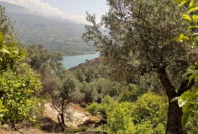 Pinos del Valle 5430&nbsp;m² 