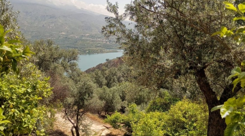 Гранада - Pinos del Valle - 5430m2