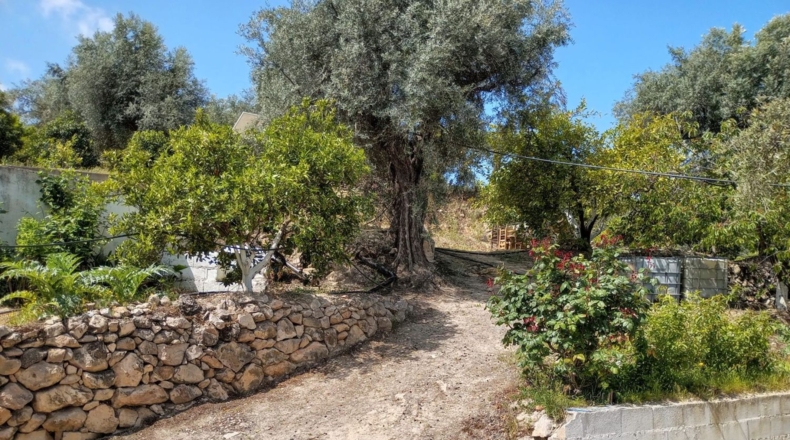 Гранада - Pinos del Valle - 5430m2