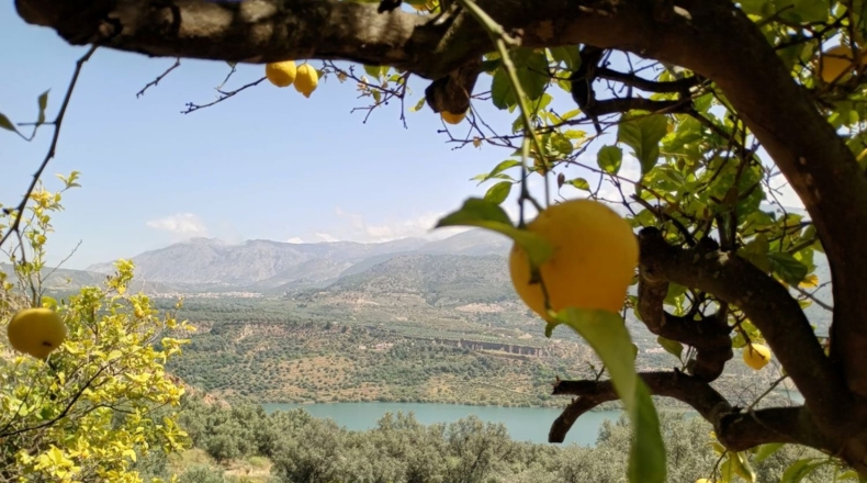 Гранада - Pinos del Valle - 5430m2