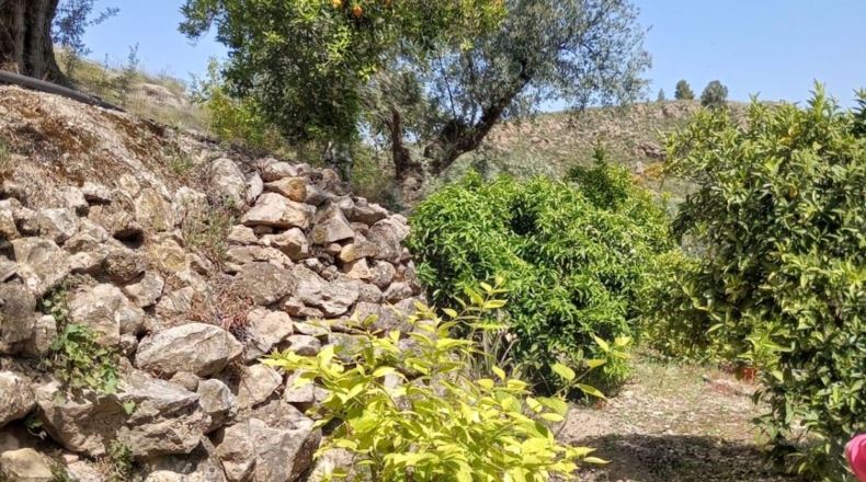 Гранада - Pinos del Valle - 5430m2