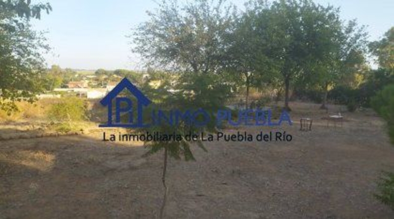 Sevilla - La Puebla del Río - 100m2