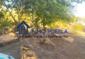 Terreno no urbanizable en venta en La Puebla del Río ref: TR385551 foto
