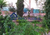 Terreno no urbanizable en venta en La Puebla del Río ref: TR385551 foto