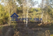 Terreno no urbanizable en venta en La Puebla del Río ref: TR385551 foto