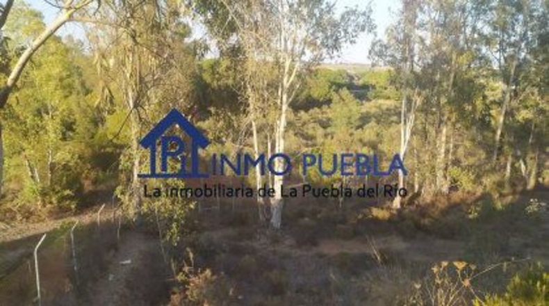 Sevilla - La Puebla del Río - 100m2
