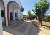 Chalet independiente con terreno en venta en Mairena del Alcor ref: TR409158 foto