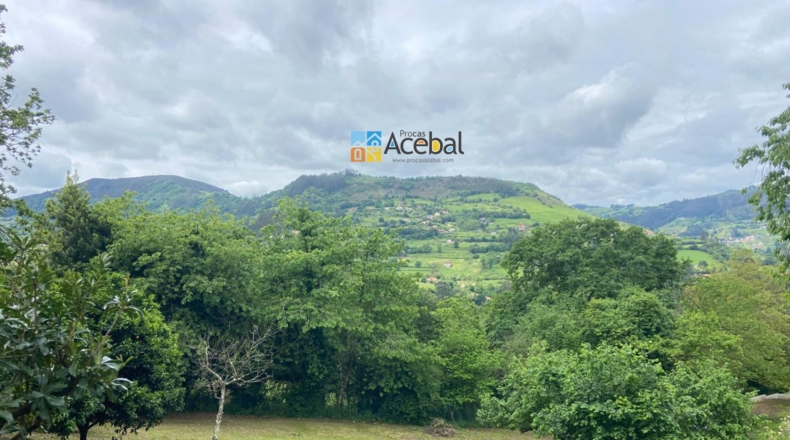 Asturias - Gijón - 2000m2