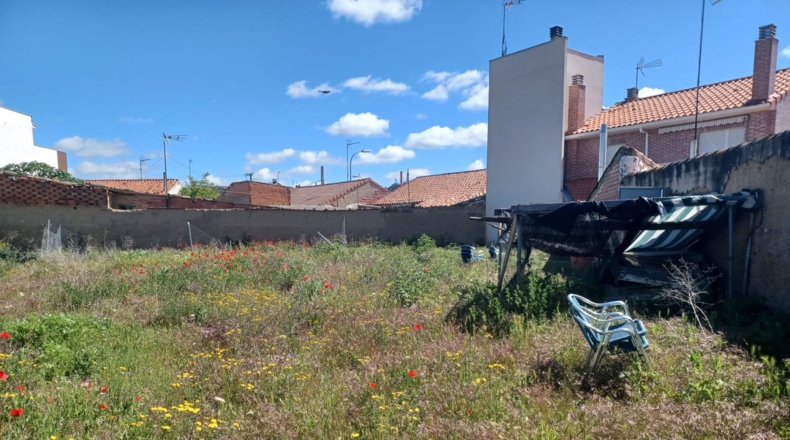 Palencia - Palencia - 414m2