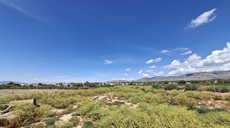 Аликанте - Crevillente - 10896m2