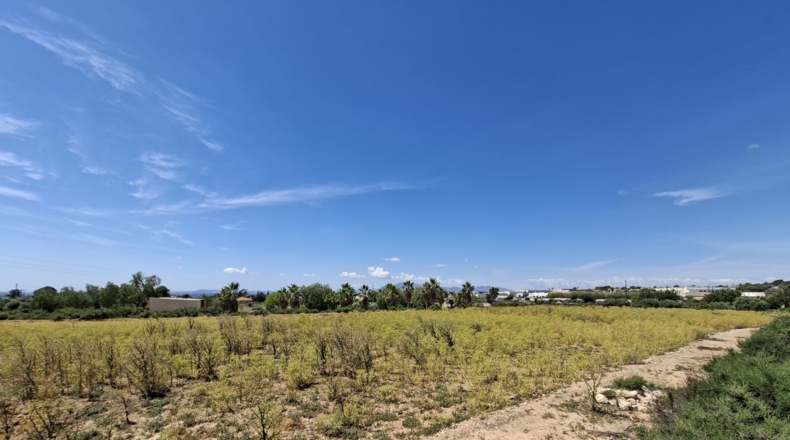 Аликанте - Crevillente - 10896m2