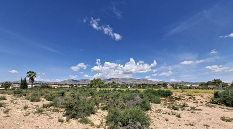 Аликанте - Crevillente - 10896m2