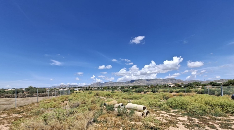 Аликанте - Crevillente - 10896m2