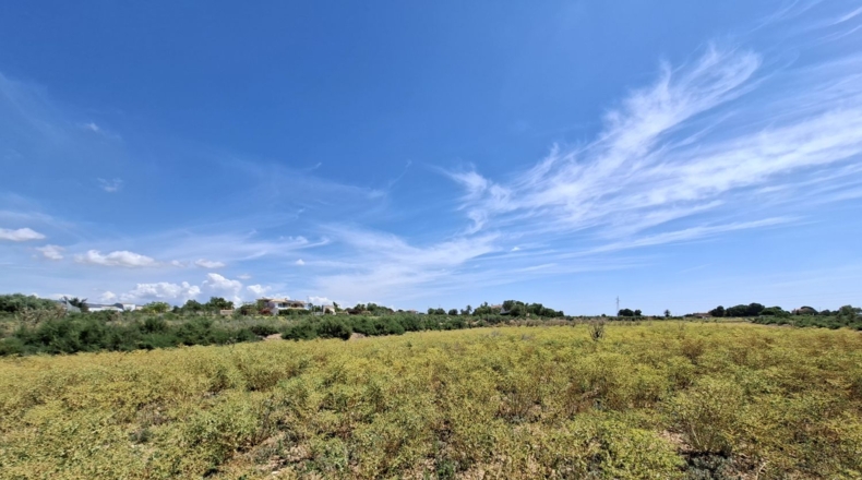 Аликанте - Crevillente - 10896m2