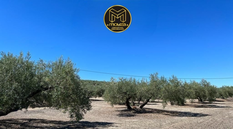 Jaén - Martos - 85m2