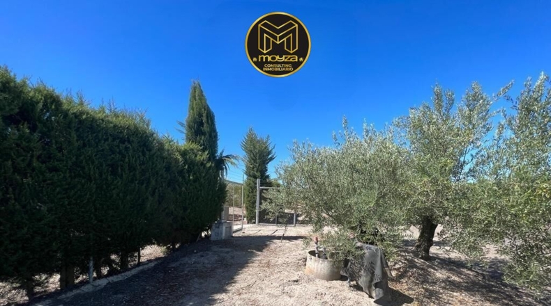 Jaén - Martos - 85m2
