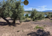 Xalet independent amb terreny en venda a Jaén ref.: TR409173 foto