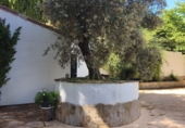 Xalet independent amb terreny en venda a Jaén ref.: TR409173 foto