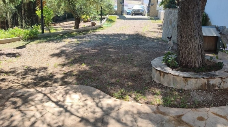 Jaén - Jaén - 4800m2