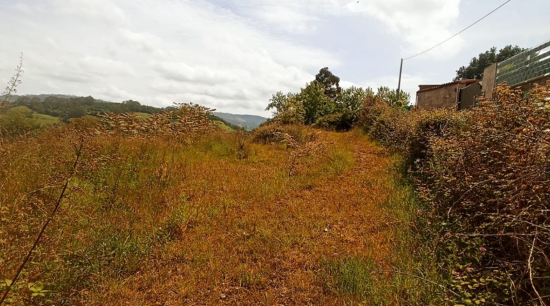 Astúries - Gijón - 2937m2