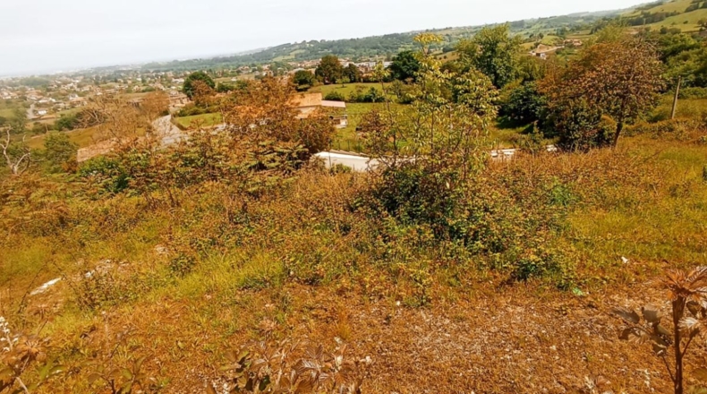 Astúries - Gijón - 2937m2