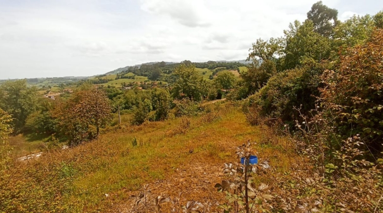 Astúries - Gijón - 2937m2
