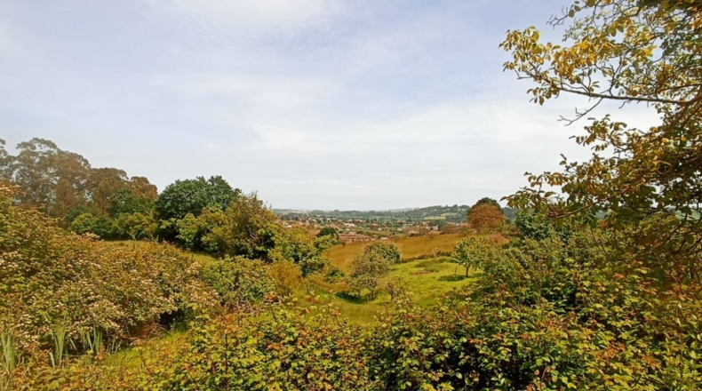 Astúries - Gijón - 2937m2