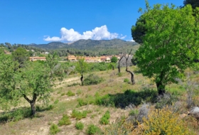 Móra la Nova 21203&nbsp;m² 