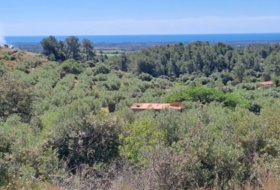 Móra la Nova 21203&nbsp;m² 