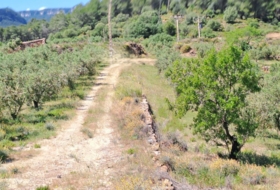Móra la Nova 21203&nbsp;m² 