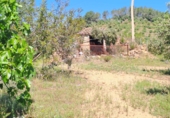 Terreno no urbanizable en venta en Móra la Nova ref: TR409187 foto