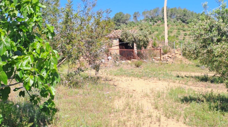 Tarragona - Móra la Nova - 21203m2